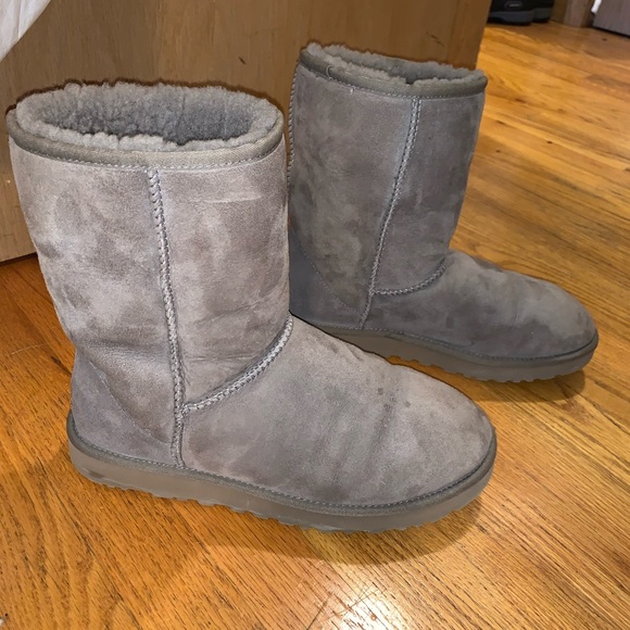 Rare Classic Short II Uggs - Picture 5 of 5